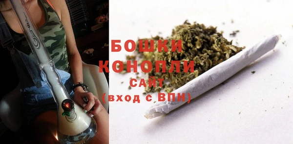 тгк Медногорск