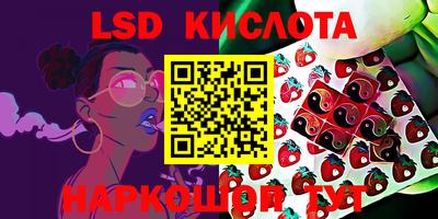 гашик Бийск