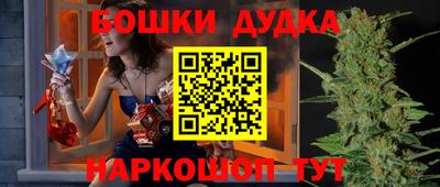 ешки Кингисепп
