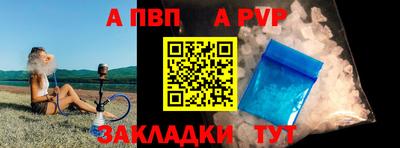 ешки Кингисепп