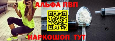 ешки Кингисепп