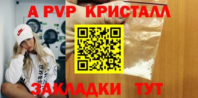 ешки Кингисепп