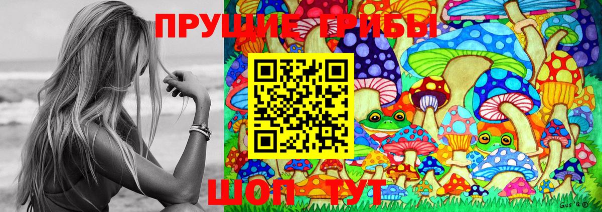 Галлюциногенные грибы мицелий Новоалтайск