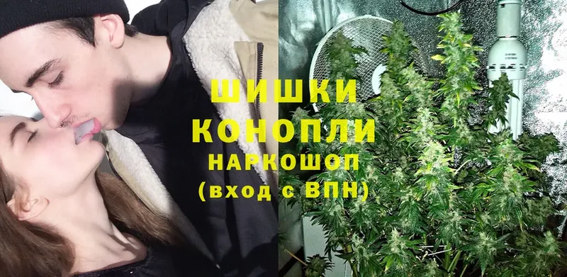 Конопля OG Kush  Новоалтайск 